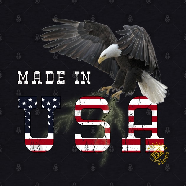 Made in USA Flag Eagle by BurunduXX-Factory